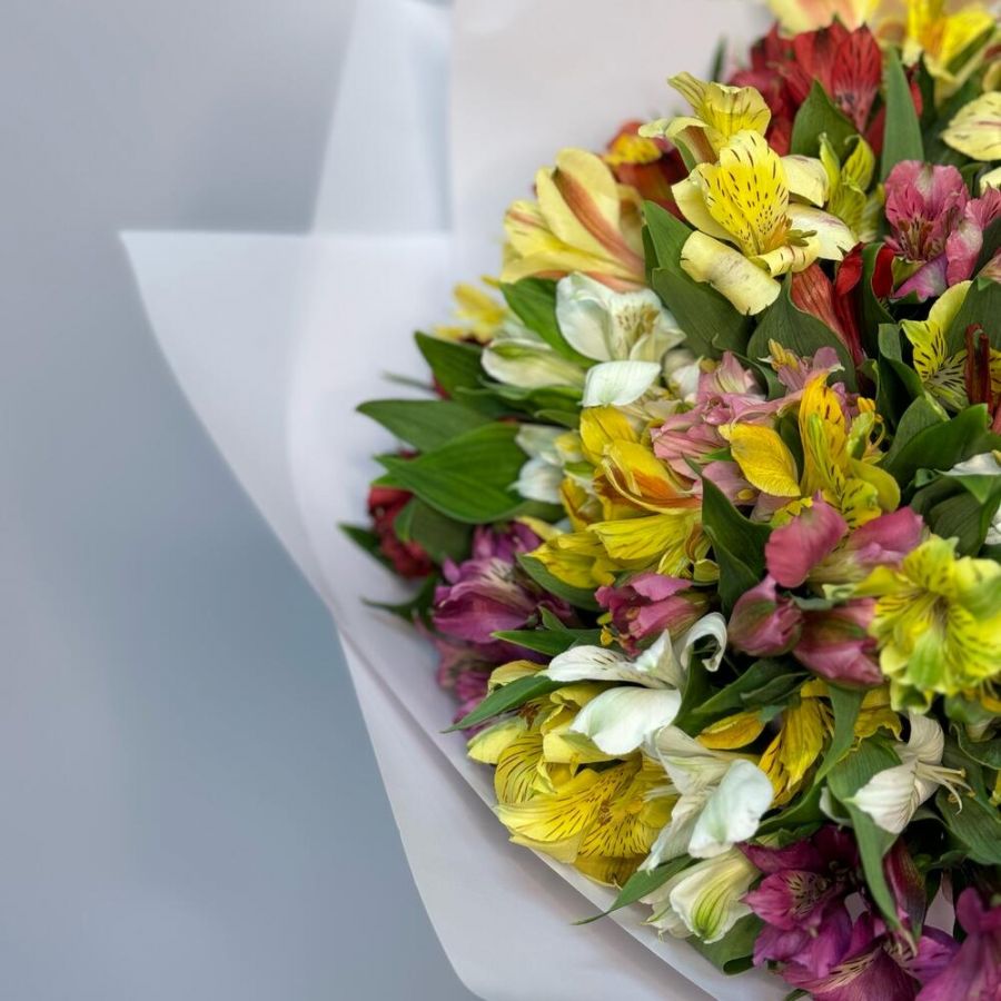 Альстромерия